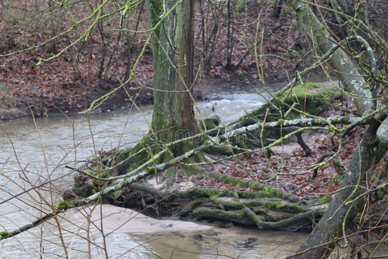 Undermined River bend stock photography