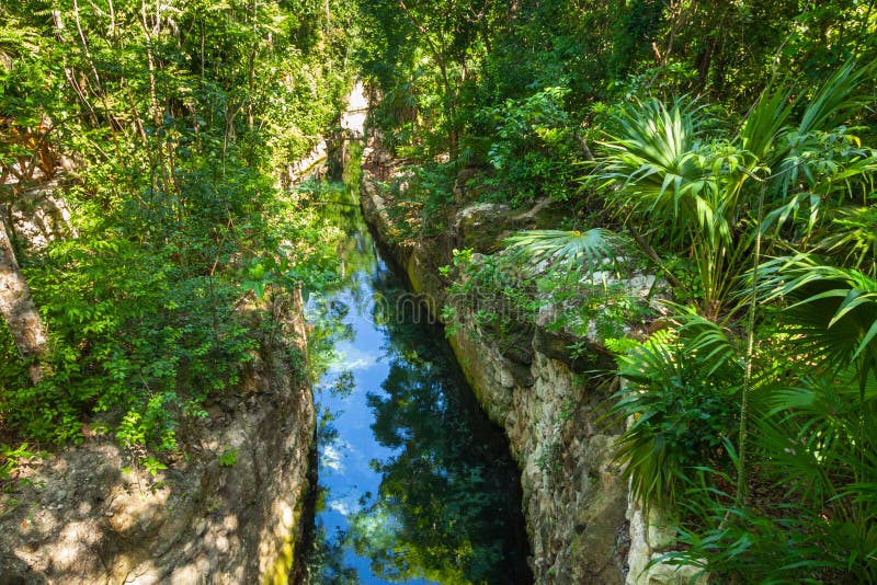 Underground river in the jungle of Yucatan, Mexico royalty free stock images