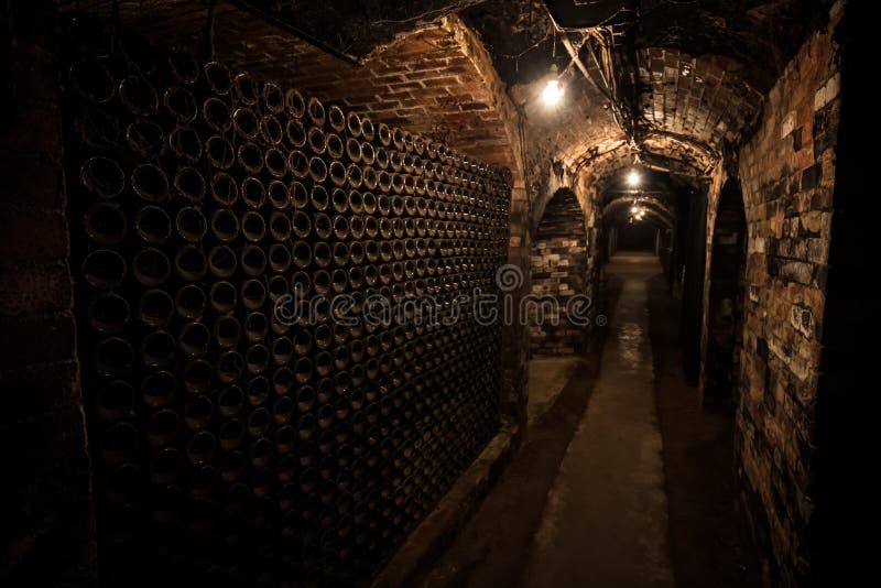 Underground Wine Cellar stock photo. Image of production 156161752