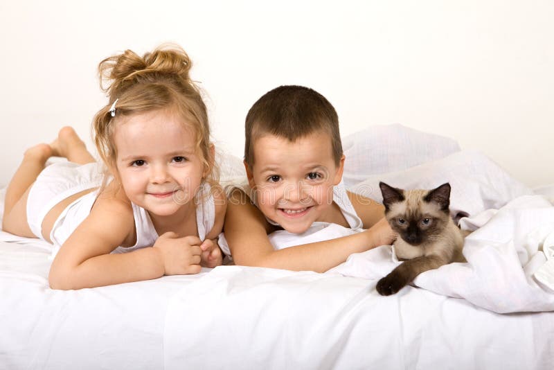 underlaget lurar att leka för kattunge som är deras royaltyfria bilder underlaget lurar att leka för kattunge som är deras royaltyfria bilder