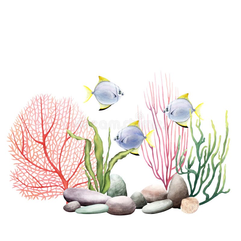 Undersea Composition with Coral Reef Plants and Fishes. Watercolor ...