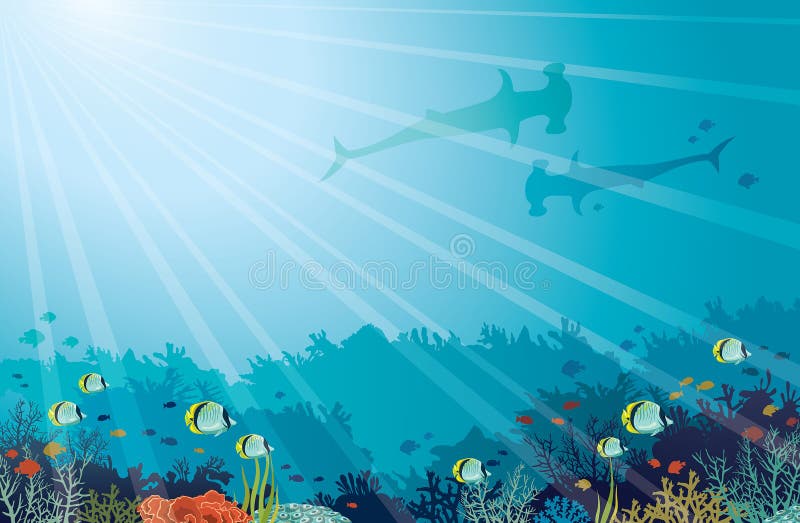 Undervattens- hav - Hummerhead hajar, korallrev, fjärilsfisk vektor illustrationer Undervattens- hav - Hummerhead hajar, korallrev, fjärilsfisk vektor illustrationer