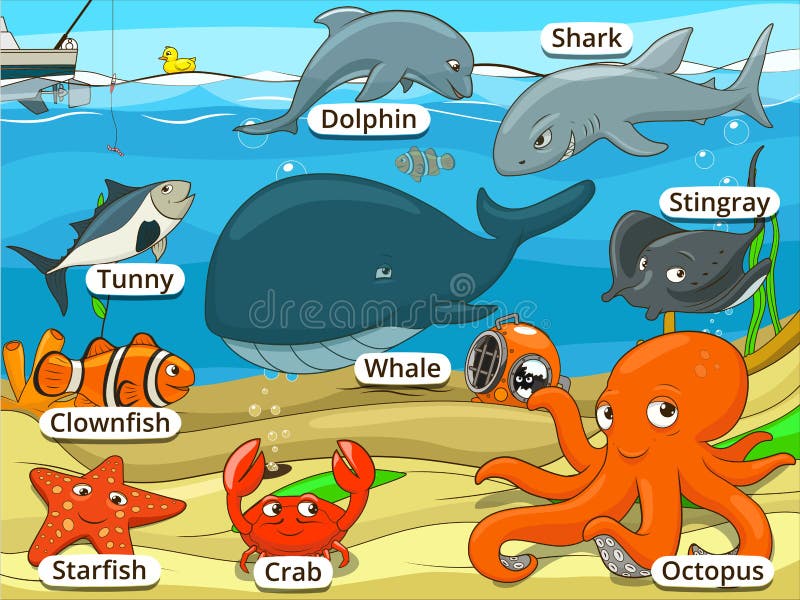 Fish Names Stock Illustrations – 326 Fish Names Stock