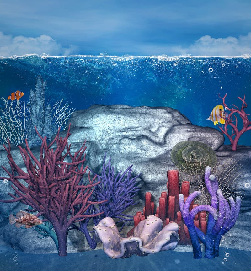 Underwater Wallpapers 70 pictures