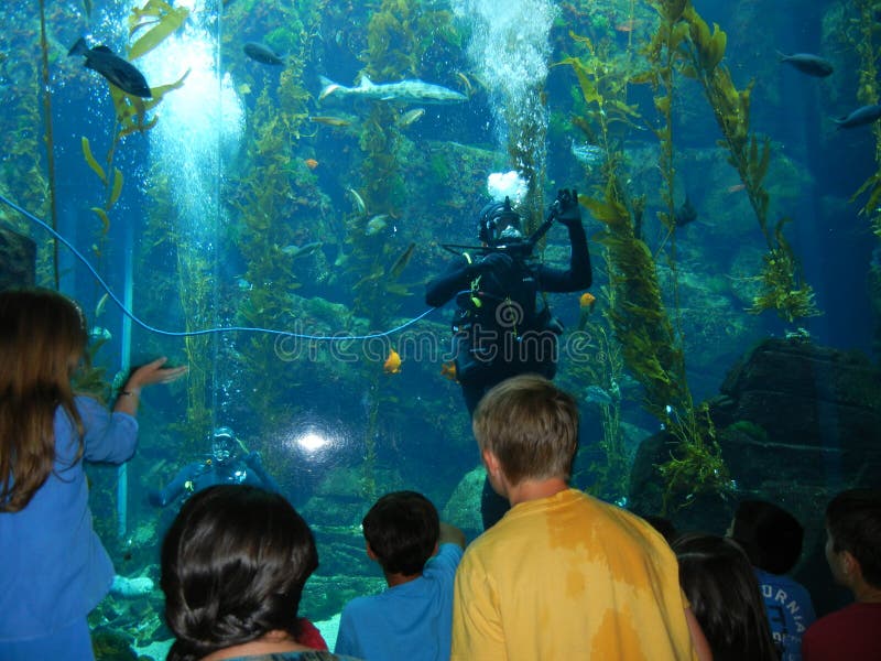 Underwater Education royalty free stock images Underwater Education royalty free stock images