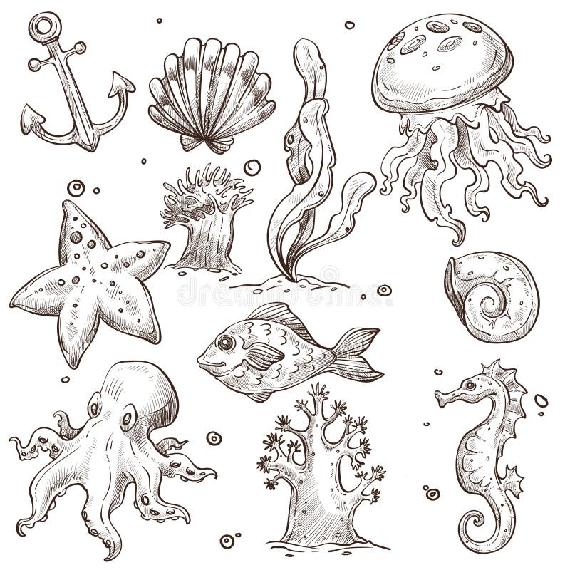 Underwater Fish and Creatures Isolated Sketches Marine Animals Stock