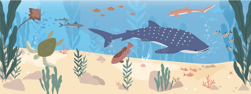 Underwater Life of Fishes at Sea Bottom. Wild Animals Swimming Under Water  Stock Vector - Illustration of scene, underwater: 216755495