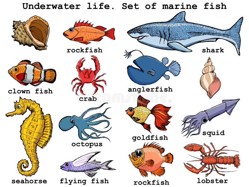 Motives Sea Stock Illustrations 215 Motives Sea Stock Illustrations Vectors Clipart Dreamstime Motives Sea Stock Illustrations 215 Motives Sea Stock Illustrations Vectors Clipart Dreamstime