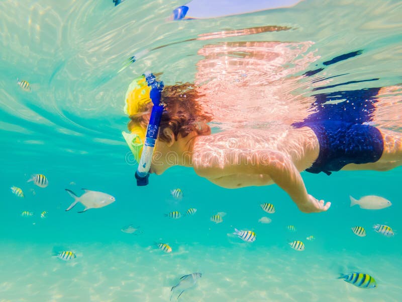 Underwater Nature Study, Boy Snorkeling in Clear Blue Sea Stock Image