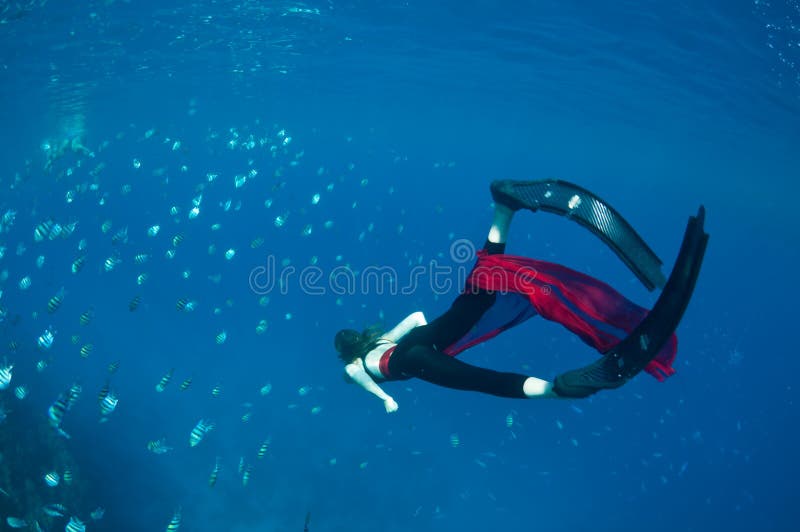 Underwater overindulgence stock photography Underwater overindulgence stock photography