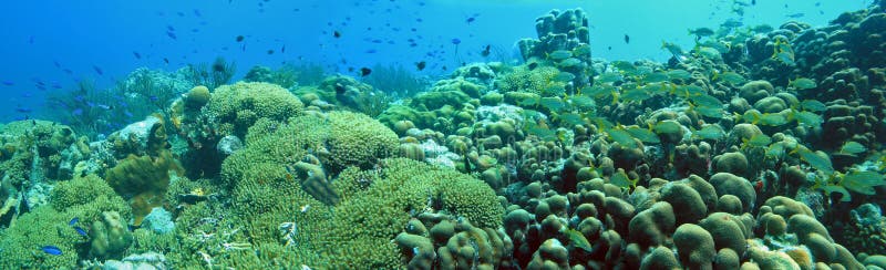 Panorámico de Acantilado sobre el isla de.