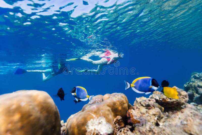 Family mother and son snorkeling royalty free stock photos Family mother and son snorkeling royalty free stock photos