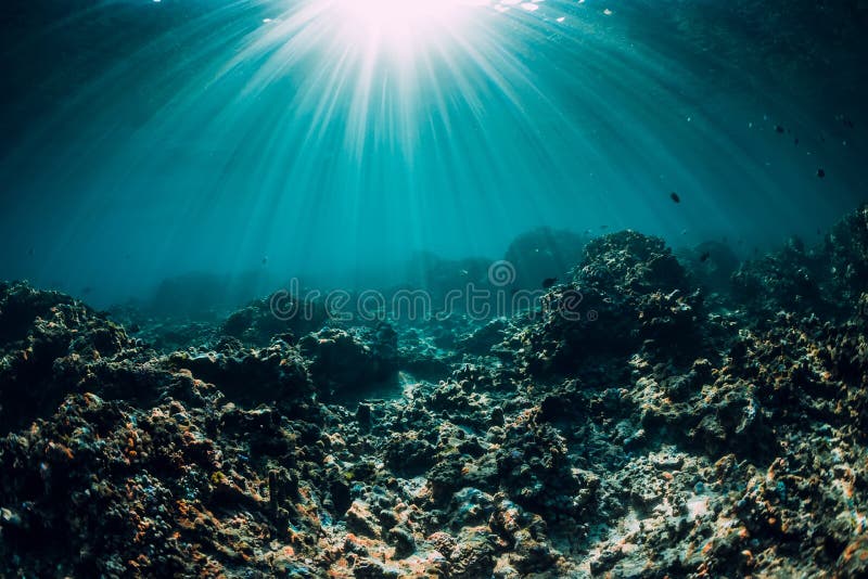 Underwater scene with corals, rocks and sun rays. Tropical blue sea stock photography Underwater scene with corals, rocks and sun rays. Tropical blue sea stock photography