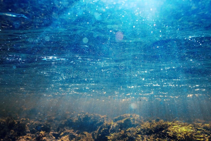 Underwater Scenery in River Water Stock Image Image of blue, clear