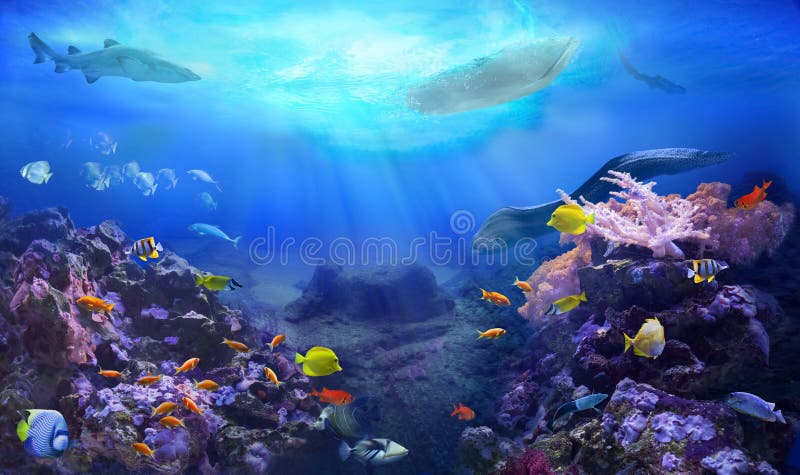 A small boat floating over a coral reef.