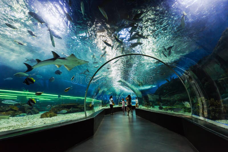 Underwater tunnel stock image Underwater tunnel stock image