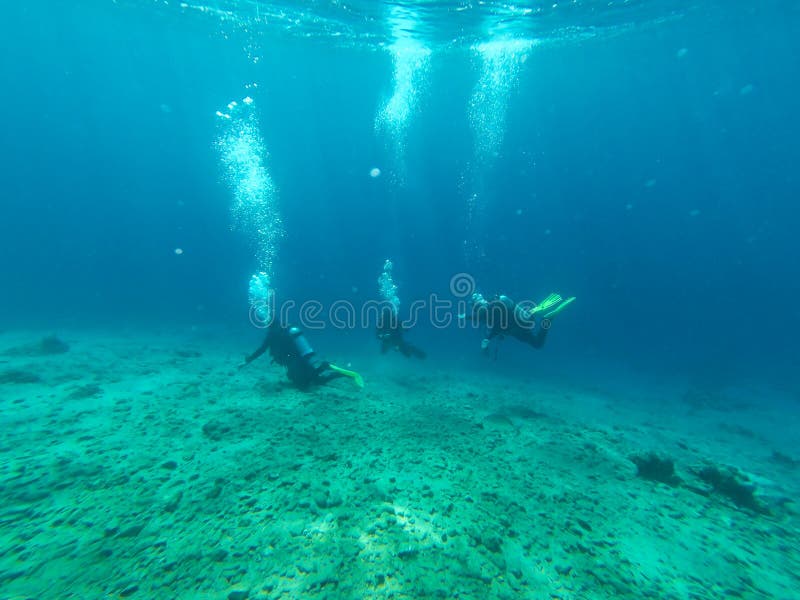 Underwater view with diver stock photo. Image of vacation 136865246