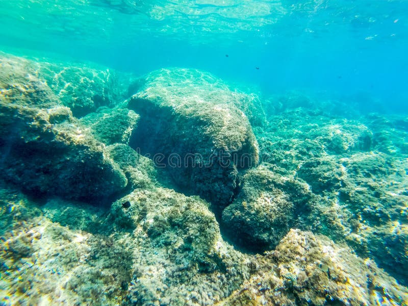 Underwater View of a Rocky Sea Bed in Sardinia Stock Photo Image of