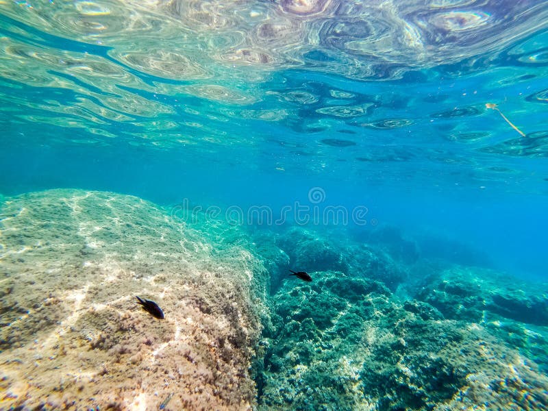 Underwater View of Sardinia Rocky Sea Floor Stock Photo - Image of ...