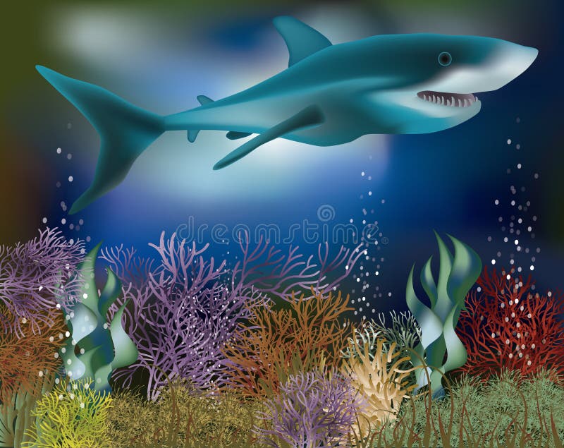 Underwater Wallpaper with Shark, Vector Stock Vector - Illustration of