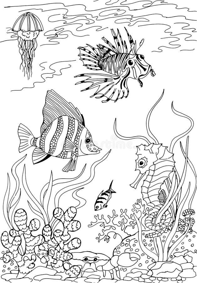 hand drawn seahorse colouring stock illustration zentangle circles