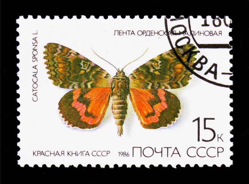 Underwing carmesí oscuro (sponsa) de Catocala, serie de las mariposas, círculo libre illustration Underwing carmesí oscuro (sponsa) de Catocala, serie de las mariposas, círculo libre illustration
