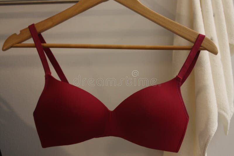 Red underwire T-shirt bra stock photo. Image of adult - 231377304