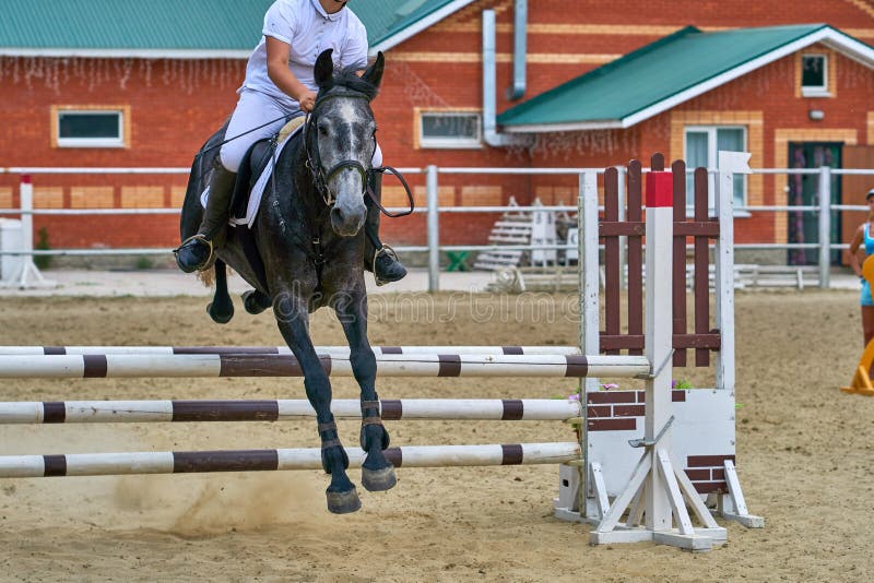 Undory Ulyanovsk region, Ryssland - September 2, 2018: Flickaryttaren som rider en häst, utför på rid- konkurrenser arkivfoton Undory Ulyanovsk region, Ryssland - September 2, 2018: Flickaryttaren som rider en häst, utför på rid- konkurrenser arkivfoton