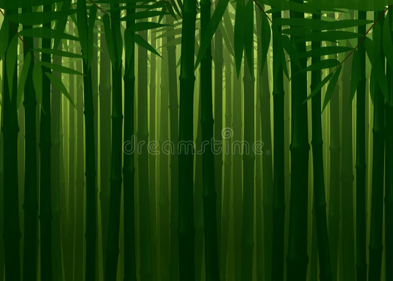Undurchdringlicher Bambus-Forest Spring Autumn Texture Background stockfoto Undurchdringlicher Bambus-Forest Spring Autumn Texture Background stockfoto