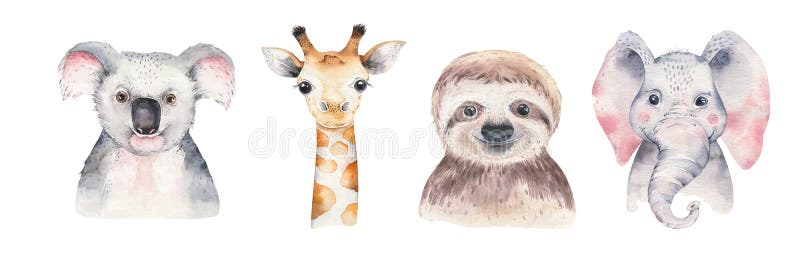 Une affiche avec un panda, une paresse, une girafe et un koala de bébé Illustration animale tropicale d'?l?phant de bande dessin?
