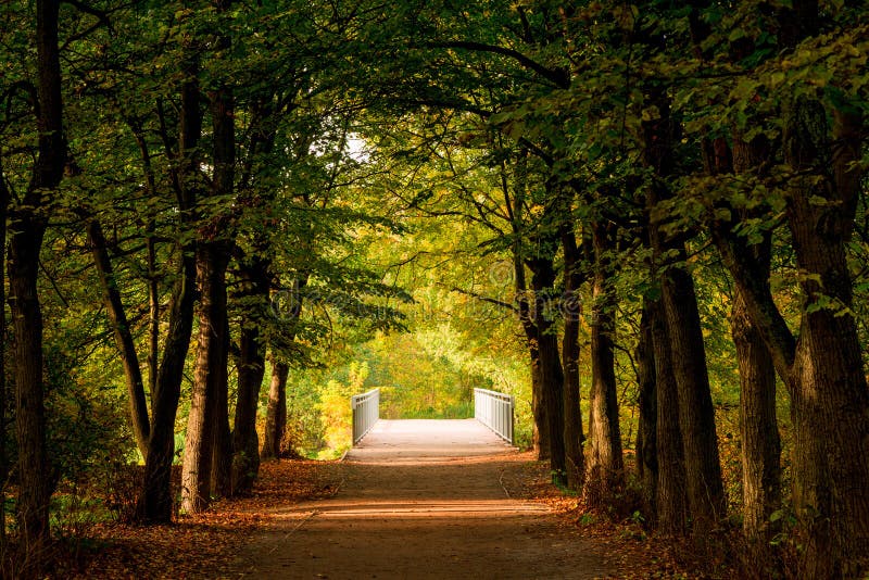 Une allée foncée en parc d'automne, une vue d'un pont en bois au-dessus d'a image libre de droits Une allée foncée en parc d'automne, une vue d'un pont en bois au-dessus d'a image libre de droits