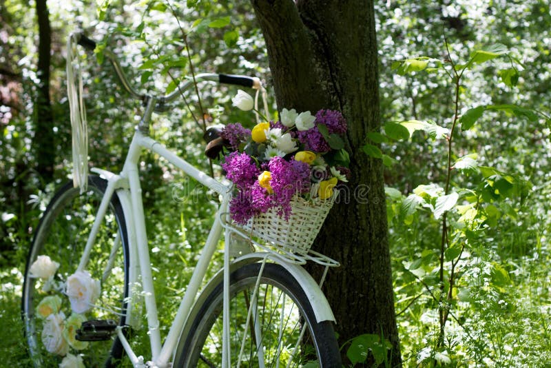 une bicyclette avec panier