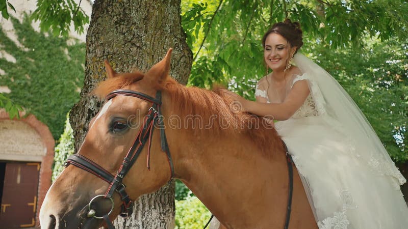 Une belle jeune mariée s'assied sur un cheval dehors La jeune mariée frotte joyeux le cheval avec sa main Moments d'a