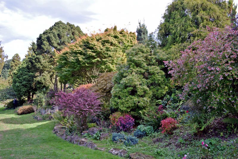 A lush green lawn with a very good stocked hedgerow full of plants, flowers ,shrubs and trees of all different sizes, shapes and colours, there are greens, blues , purples and reds altogether to make this beautiful landscape garden scene . A lush green lawn with a very good stocked hedgerow full of plants, flowers ,shrubs and trees of all different sizes, shapes and colours, there are greens, blues , purples and reds altogether to make this beautiful landscape garden scene .