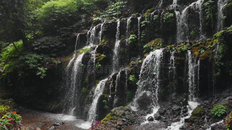 Une cascade étonnante dans la forêt tropicale Bali, Indonésie Vue aérienne banque de vidéos