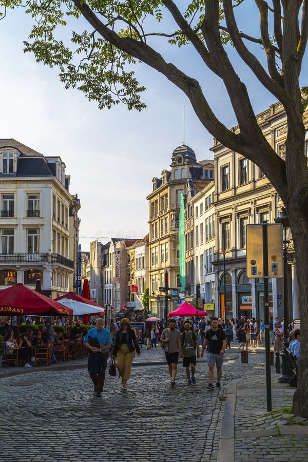 Coucher Du Soleil De Ressort à Bruxelles Photo Stock