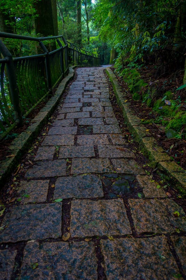 A stoned entrance of Hakone shrine, in the forest in Japan. A stoned entrance of Hakone shrine, in the forest in Japan.