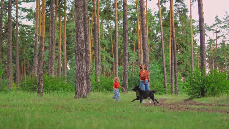 Une femme et une petite fille du Caucase heureuse courent après un chien tenant du bâton dans la bouche dans une forêt clips vidéos