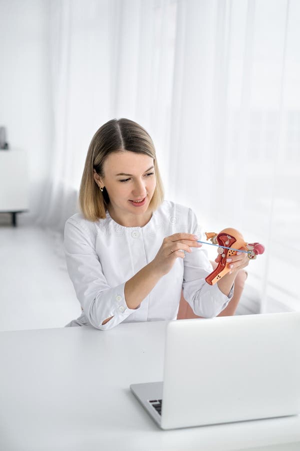 Une femme médecin dit et montre le principe de la fonction ovarienne sur un modèle anatomique de l'utérus. photographie stock libre de droits