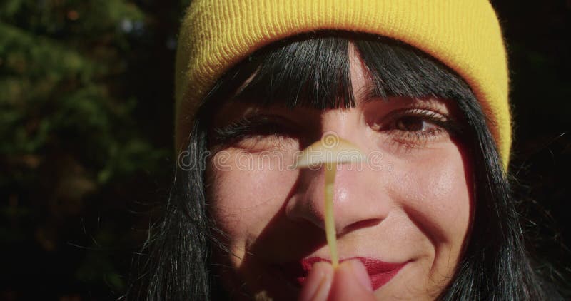 Une femme ramasse des champignons agariques. champignons agariques de la mouche hallucinogène dans la forêt. banque de vidéos