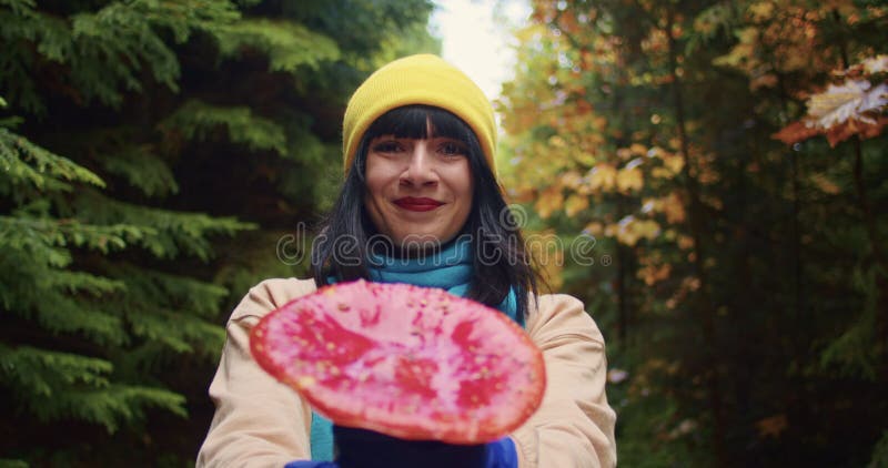Une femme ramasse des champignons agariques. champignons agariques de la mouche hallucinogène dans la forêt. clips vidéos