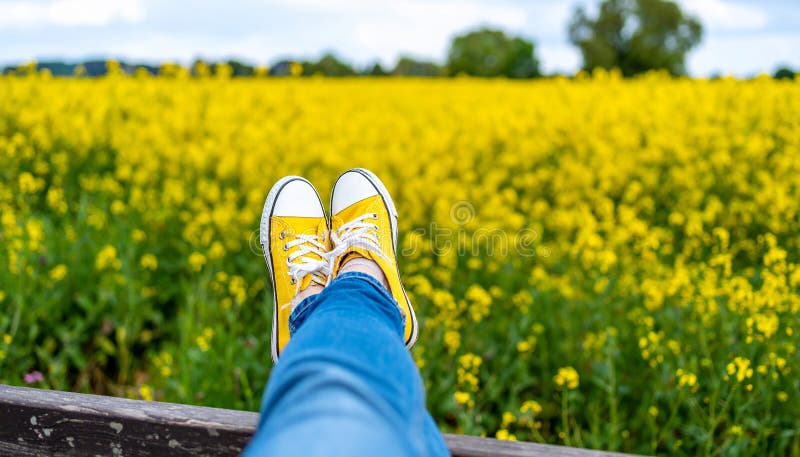 Une femme se reposant avec ses jambes soutenue sur un banc au milieu d'un champ de jaune illustration libre de droits