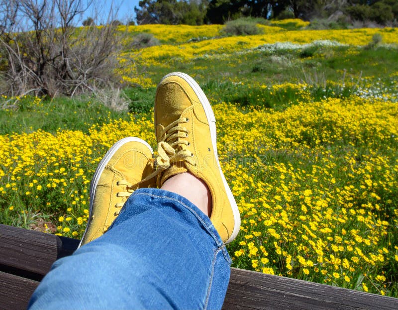 Une femme se reposant avec ses jambes soutenue sur un banc au milieu d'un champ de jaune illustration stock