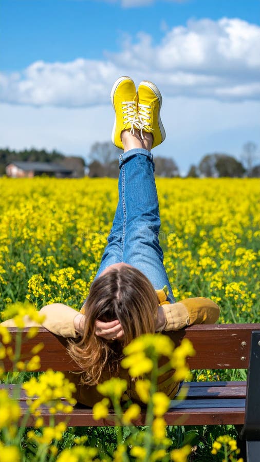 Une femme se reposant avec ses jambes soutenue sur un banc au milieu d'un champ de jaune illustration libre de droits