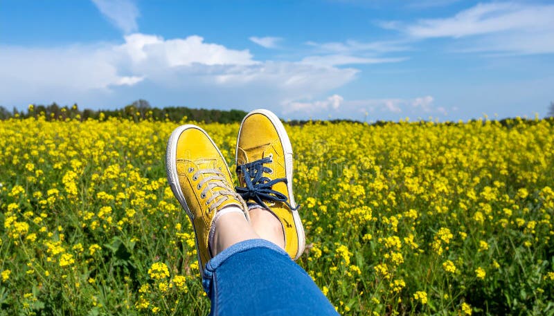 Une femme se reposant avec ses jambes soutenue sur un banc au milieu d'un champ de jaune illustration stock