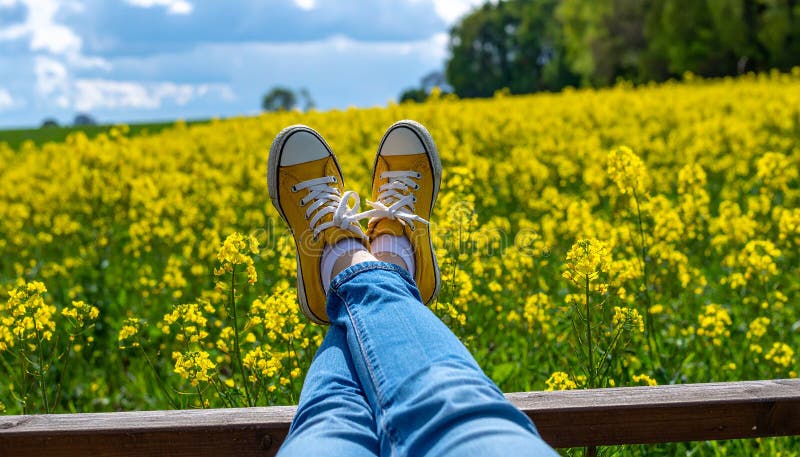 Une femme se reposant avec ses jambes soutenue sur un banc au milieu d'un champ de jaune illustration stock