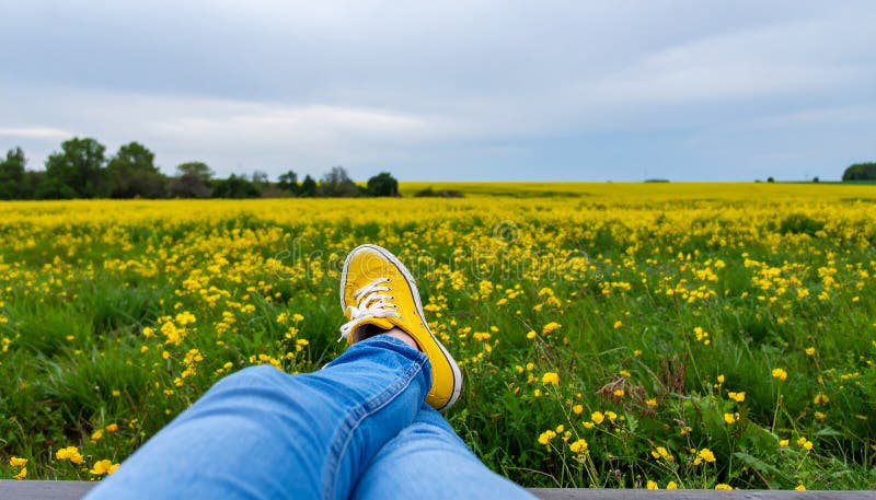Une femme se reposant avec ses jambes soutenue sur un banc au milieu d'un champ de jaune illustration de vecteur