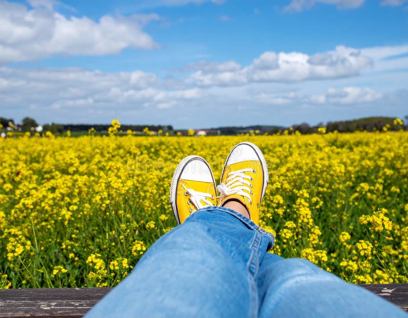Une femme se reposant avec ses jambes soutenue sur un banc au milieu d'un champ de jaune illustration stock