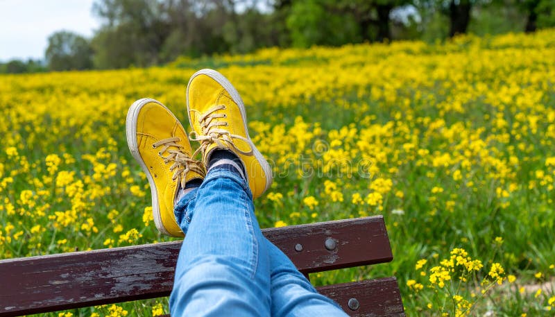 Une femme se reposant avec ses jambes soutenue sur un banc au milieu d'un champ de jaune illustration stock