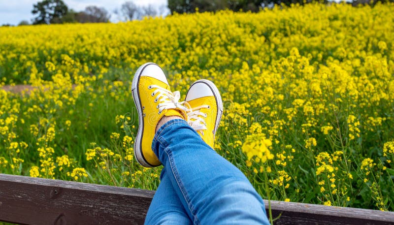 Une femme se reposant avec ses jambes soutenue sur un banc au milieu d'un champ de jaune illustration libre de droits
